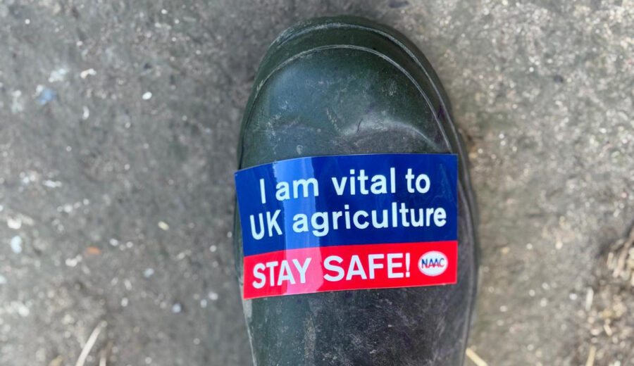 New safety campaign – I am Vital to UK Agriculture
