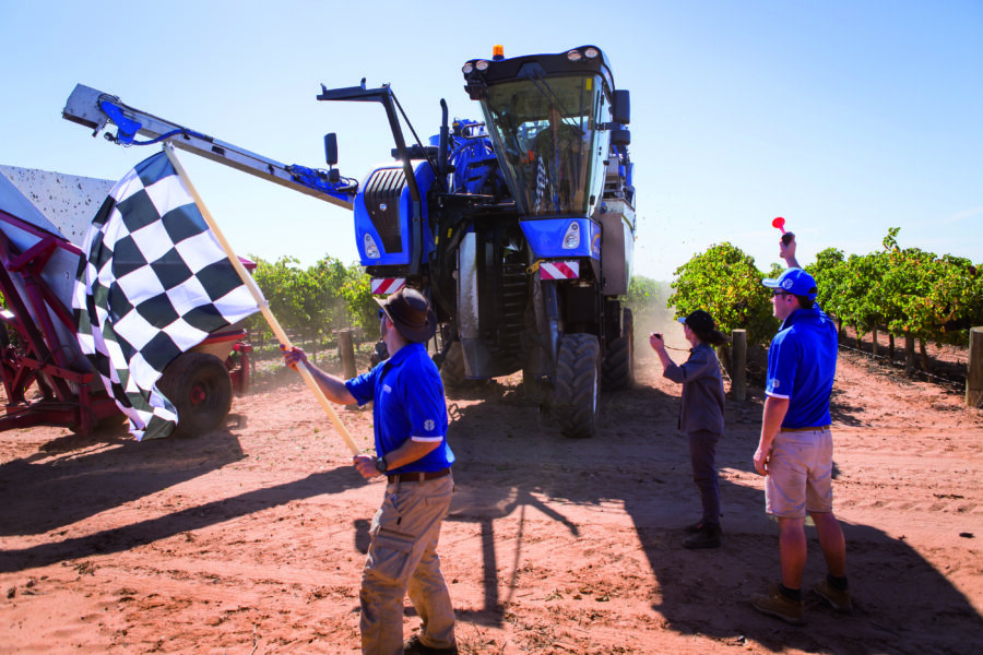 New Holland sets new benchmark in grape harvesting performance