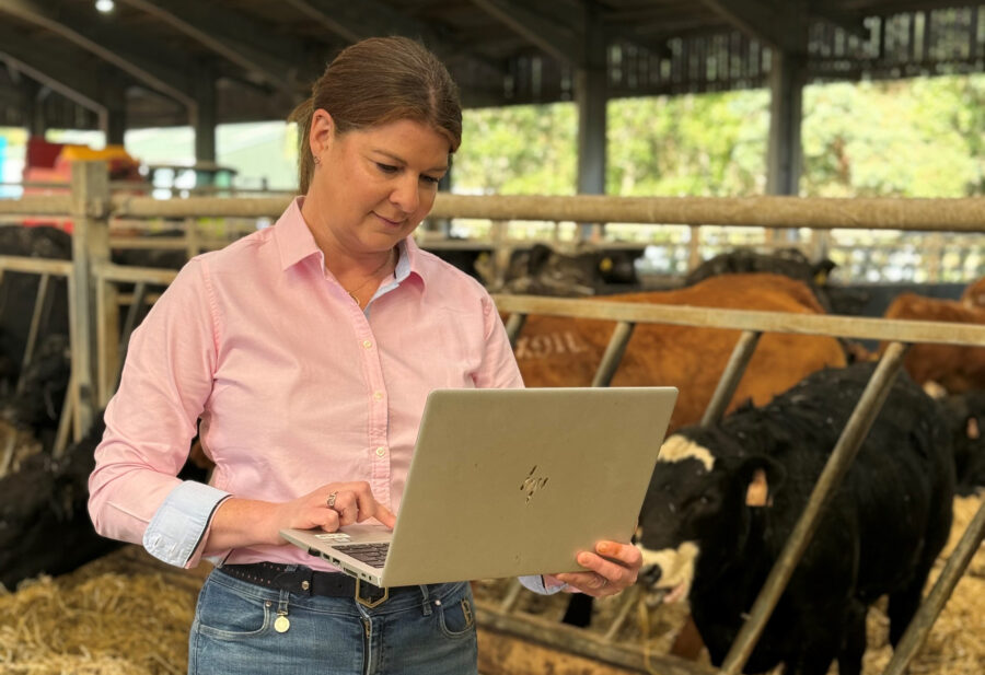 New health web-app to improve farm productivity 