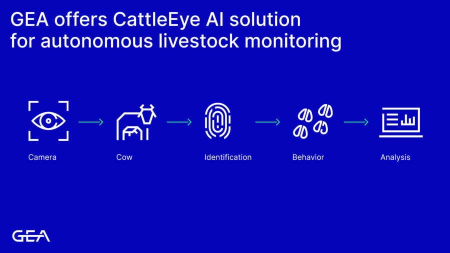 GEA launches Body Condition Scoring for cows 