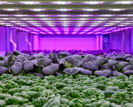 Eurofins launches new vertical farming analysis