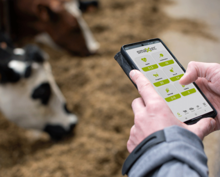 Breakthrough approach for detecting mastitis in dairy cows