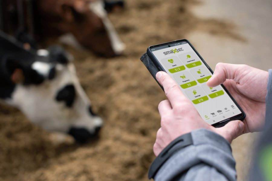 Breakthrough approach for detecting mastitis in dairy cows