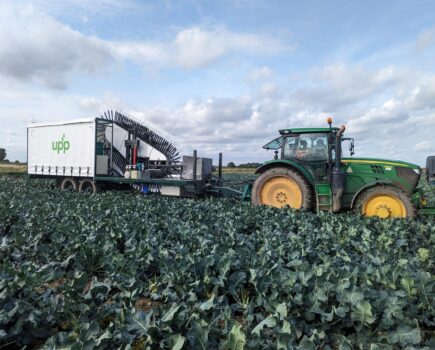 Automated broccoli harvester could help farmers with labour shortages