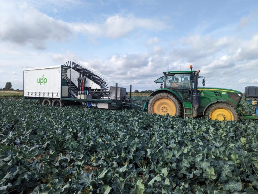 Automated broccoli harvester could help farmers with labour shortages